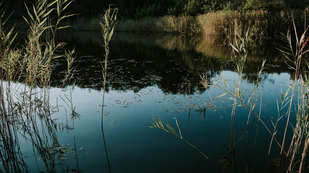 Wetlands and aquifers can store more water than dams