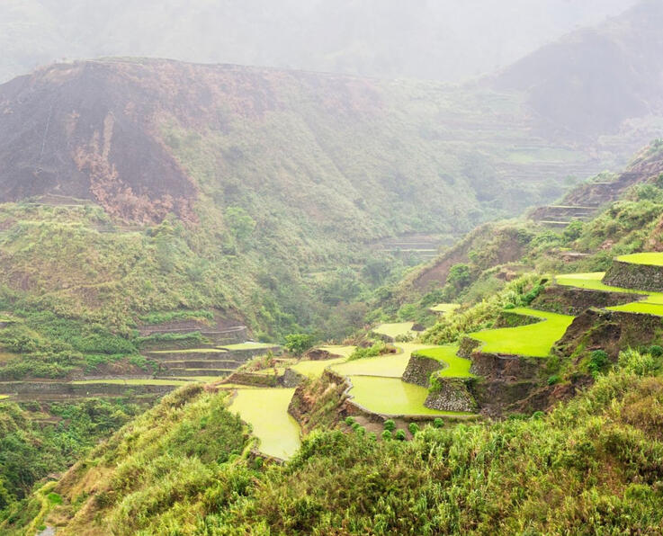 Forests, absorbent soils, and wetlands help bring rain inland and downwind.