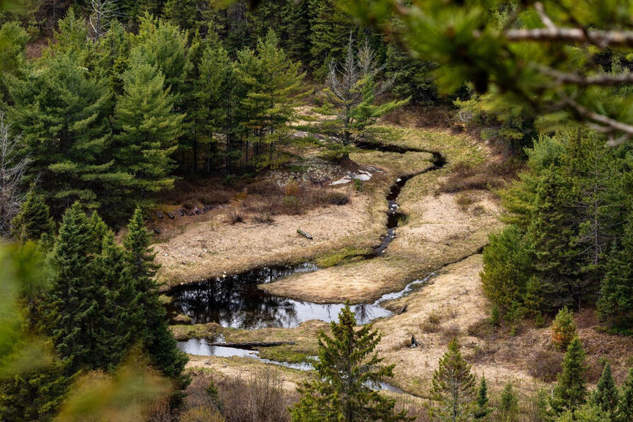 Soil sponginess and vegetation uphill lessen floods downhill.