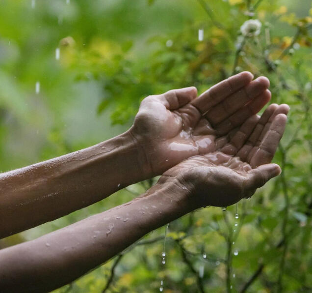 Slowing and sinking the water allows land to be hydrated into the dry season