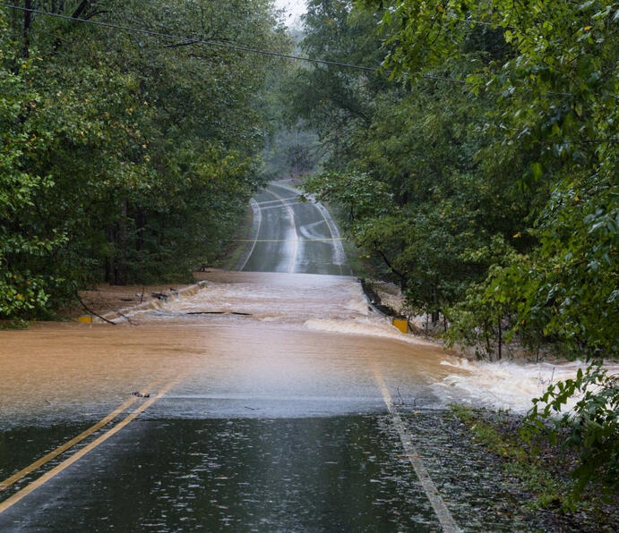 Forests create low lying clouds that reflect sunlight and heat, that usually cool the planet.